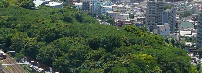 東京お江戸の逸品特集