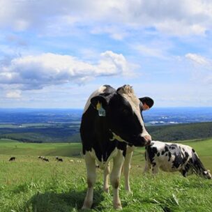 渋沢栄一とゆかりの地、北海道十勝清水町