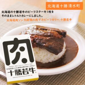 北海道 肉ソン大統領の肉デカビーフカリー 1箱