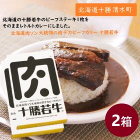 北海道 肉ソン大統領の肉デカビーフカリー 2箱セット