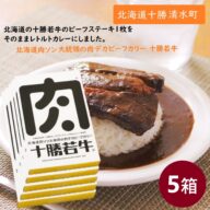 北海道 肉ソン大統領の肉デカビーフカリー 5箱セット