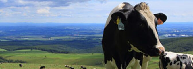 北海道十勝清水町の逸品特集