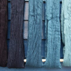 渋沢栄一と藍染めのはじまり