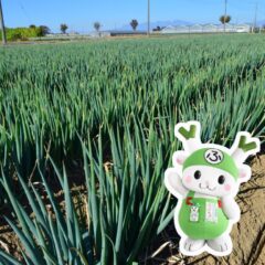 深谷の風土食「深谷野菜の漬物」