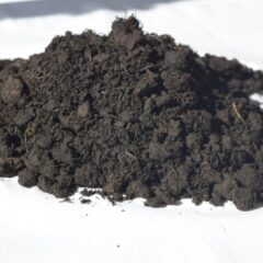 藍染め蒅（すくも）の加工