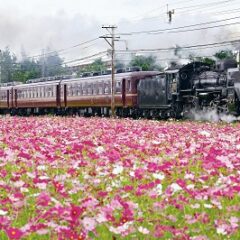 渋沢栄一ゆかりの地「埼玉熊谷」後編