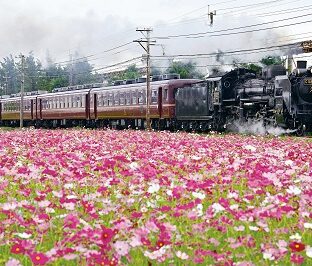 渋沢栄一ゆかりの地「埼玉熊谷」後編