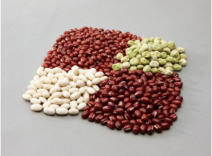 ジャパニーズあんこは、種類も豊富で食感も楽しい！