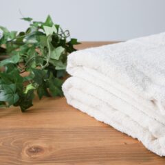 タオルの歴史・生産地・種類を知ろう！