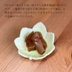 創業300余年の老舗料亭「八百善」のはりはり漬は、通常使うお酢は使用しておりません。 独特の風味と味を引き出し、当時の味を再現しております。 江戸料理の真髄は、手間暇をかけて旬の食材をいかにおいしくするかということ。そこにこだわって当時の手法でつくられています。